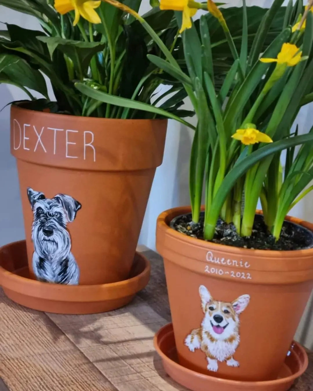 Hand painted pet terracotta plant pots