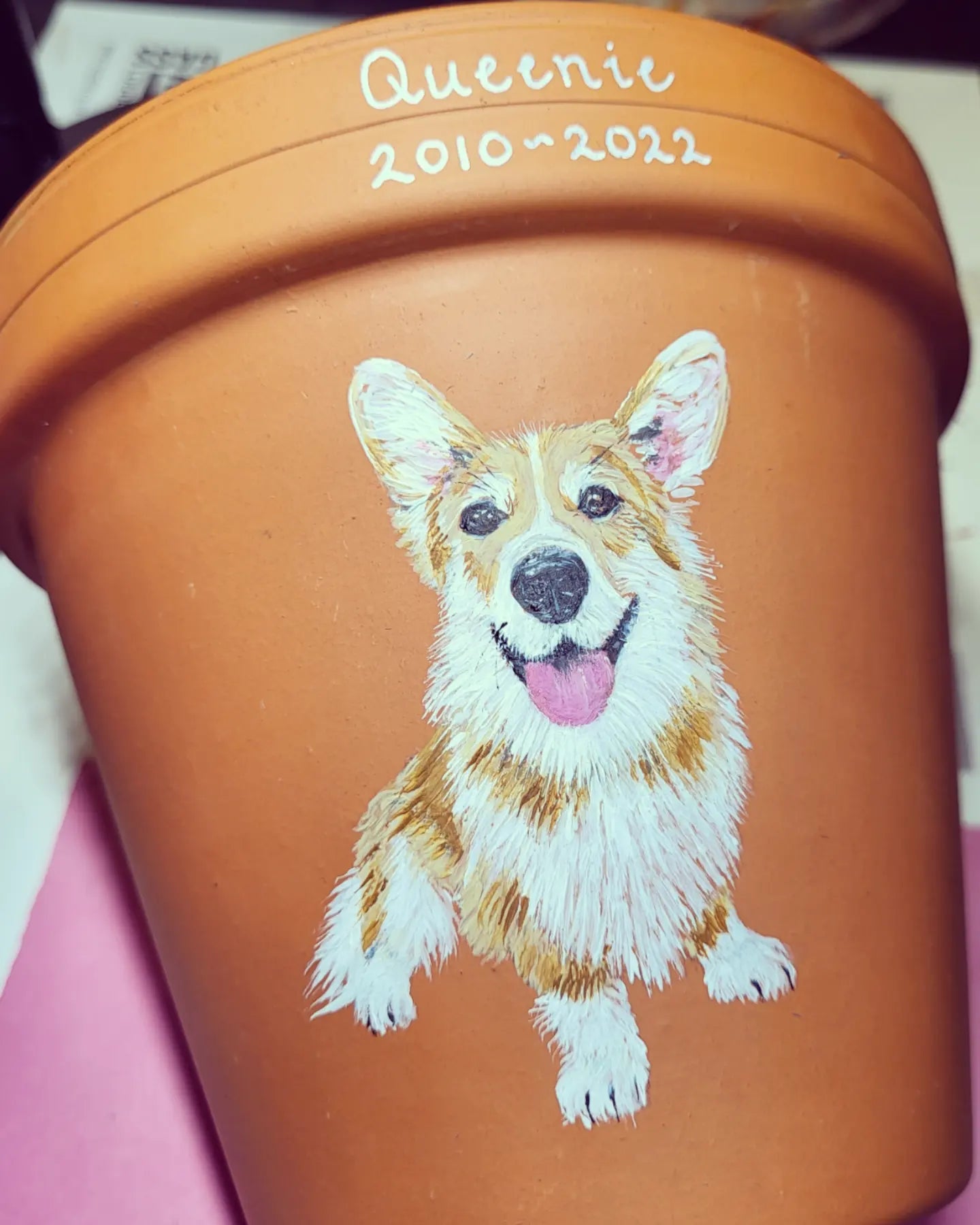 Hand painted pet terracotta plant pots