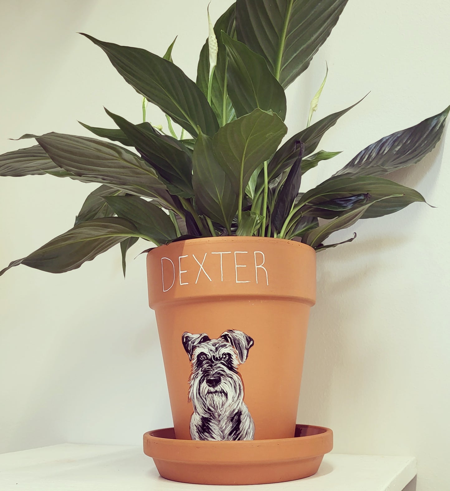 Hand painted pet terracotta plant pots