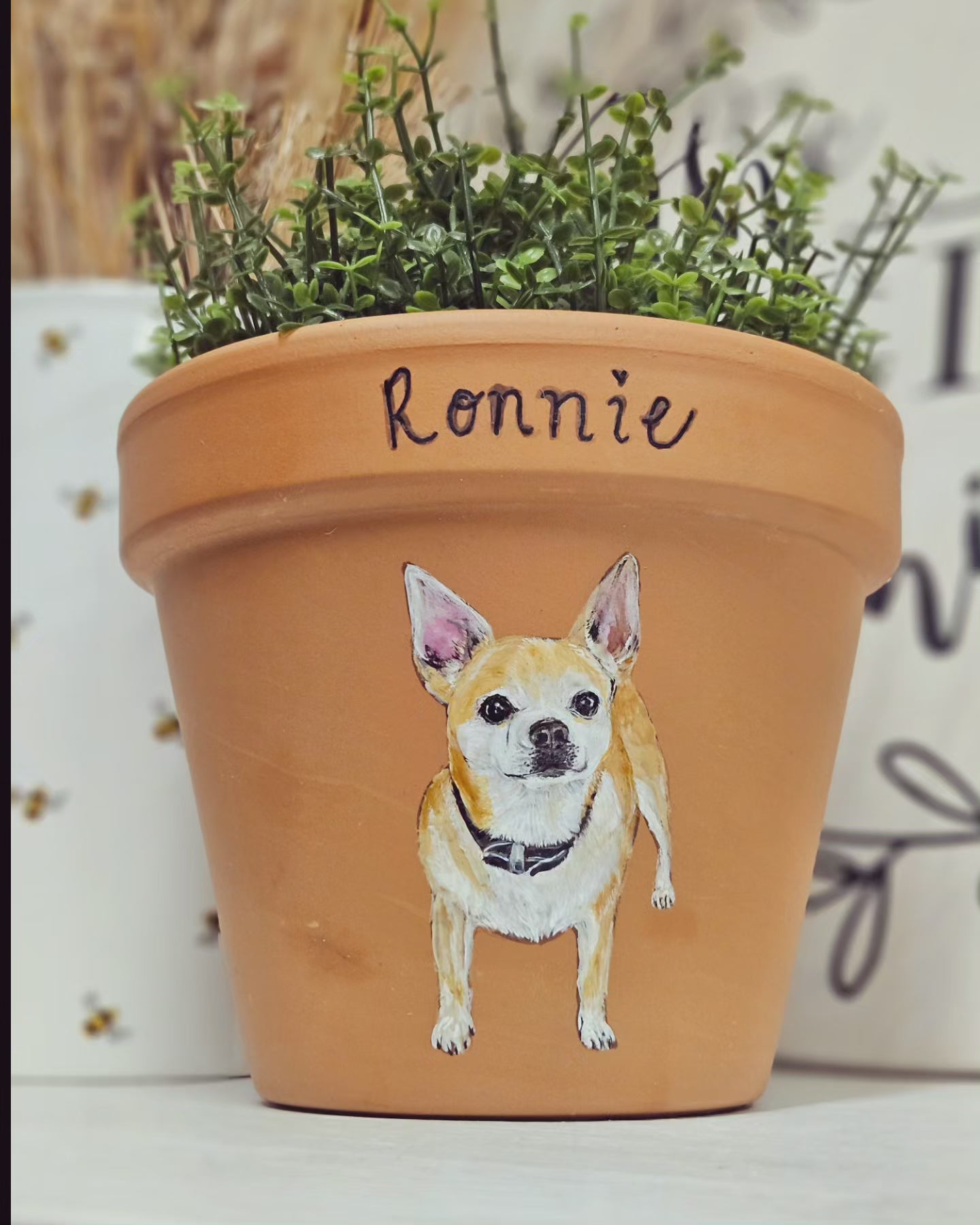 Hand painted pet terracotta plant pots