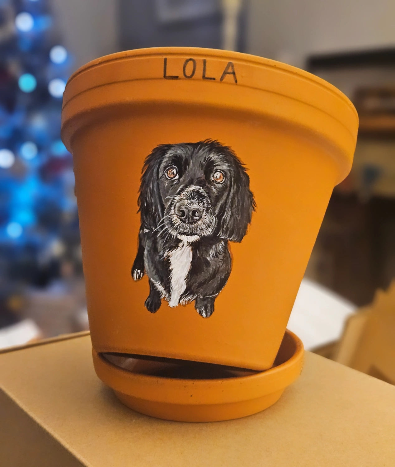 Hand painted pet terracotta plant pots