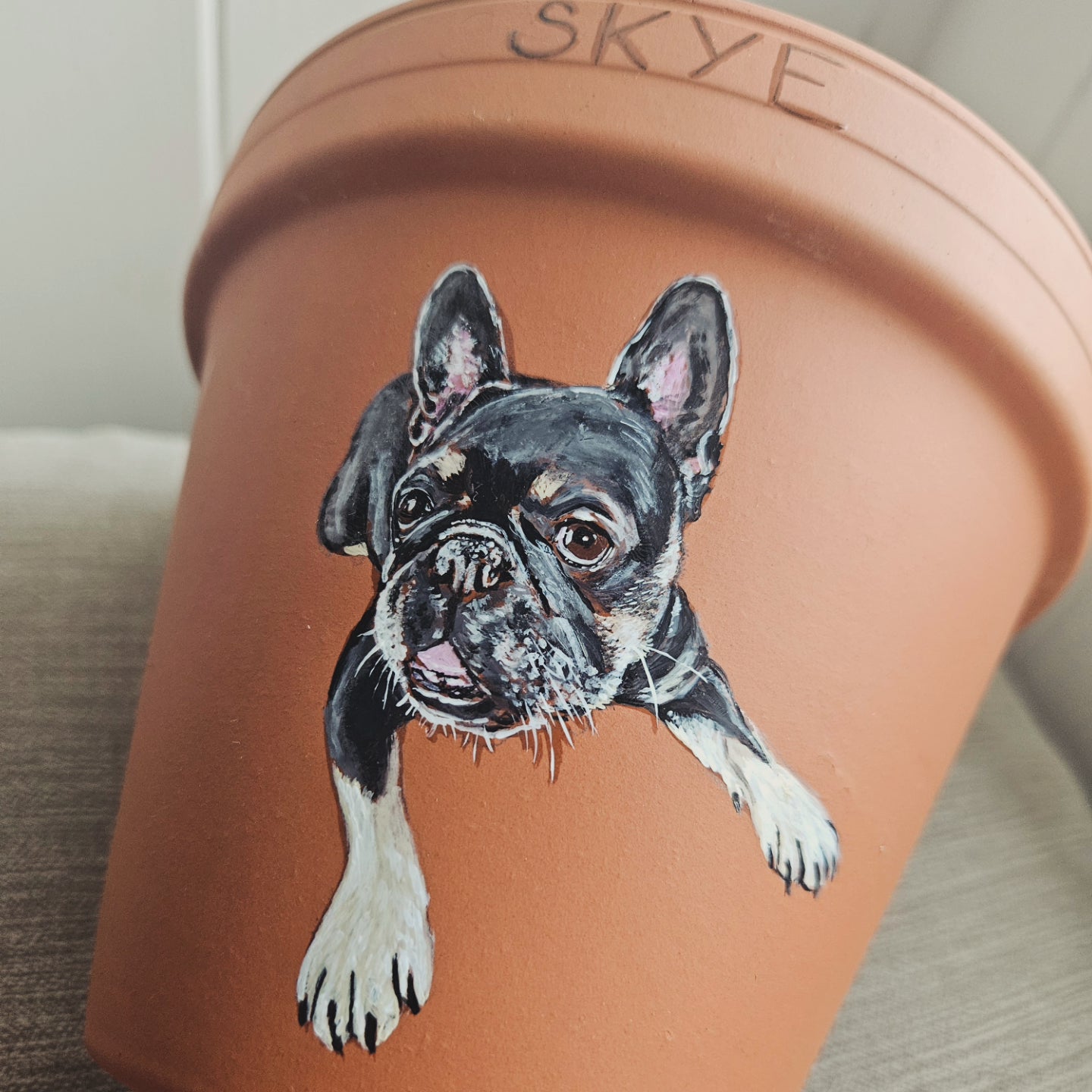 Hand painted pet terracotta plant pots